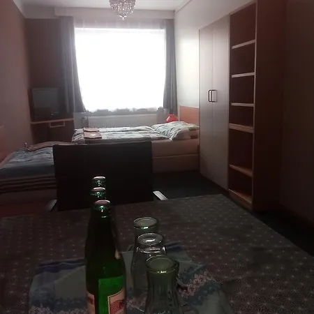 Guest house Mensik 3*