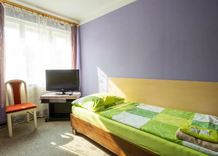 ゲストハウス Mensik Kroměříž